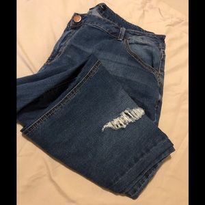 EUC 1822 Denim Medium Wash Straight Jeans 18W